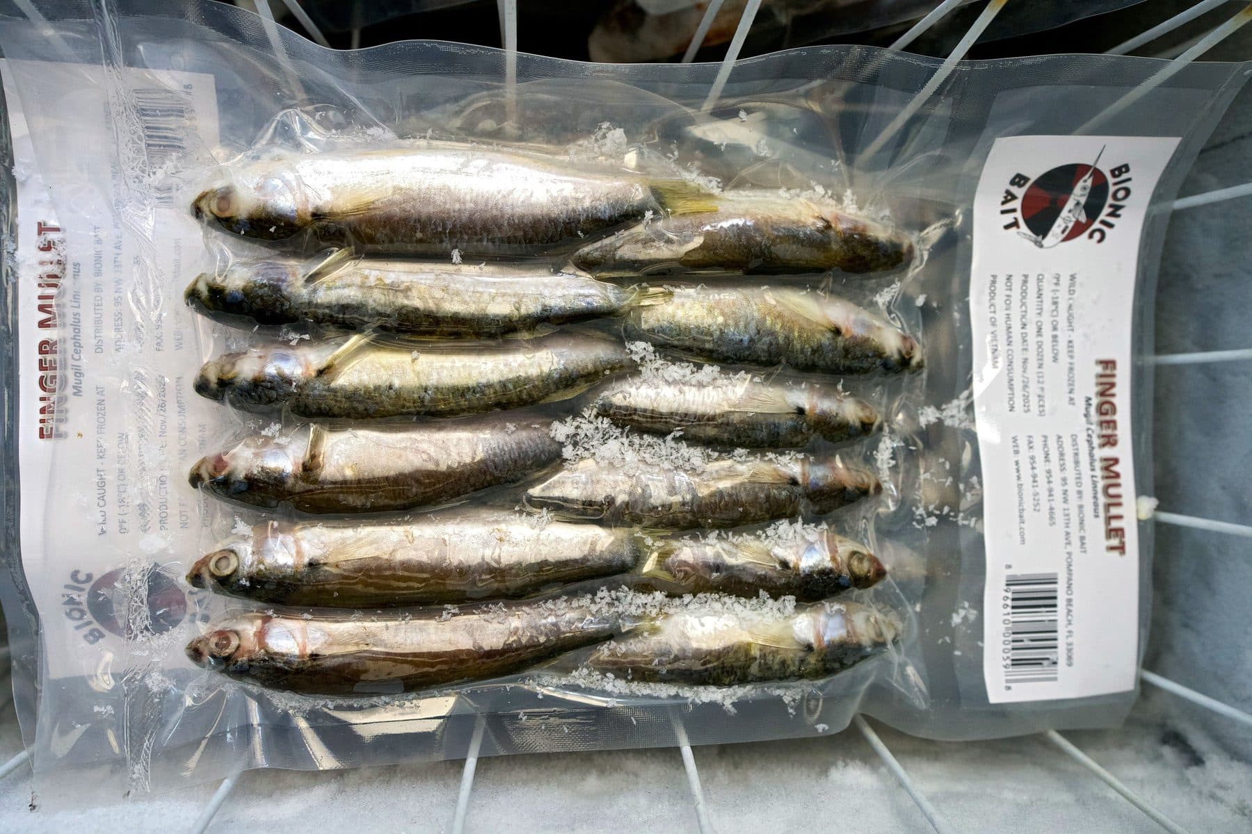 Vacuum sealed pack of a dozen Bionic Bait frozen finger mullet lying on a freezer rack