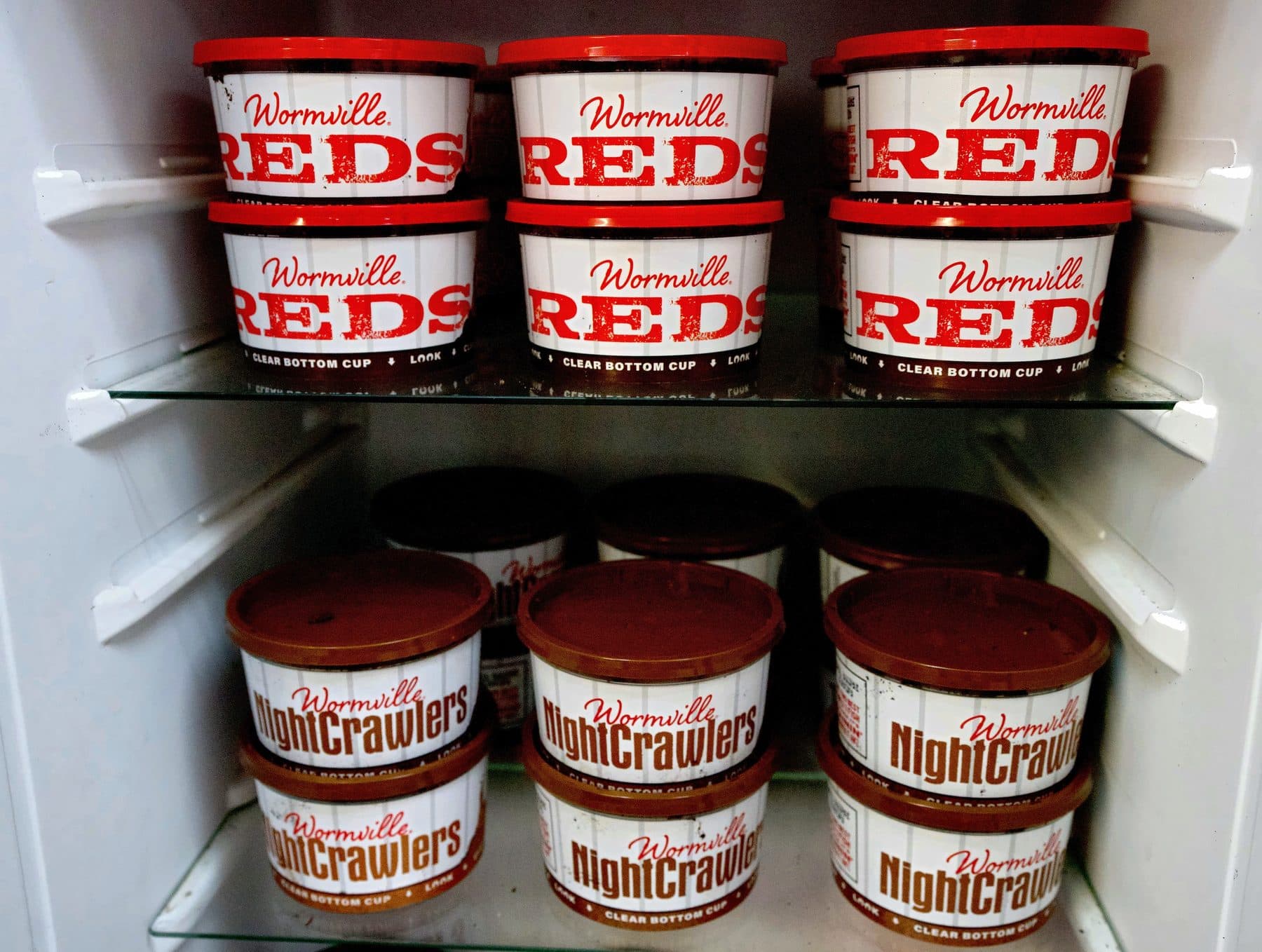 Bait cooler with neat stacks of Wormville Reds cups above and Wormville NightCrawlers cups below
